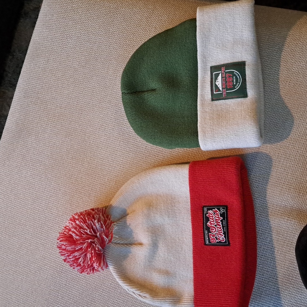 Aritzia TNA Beanies (2)